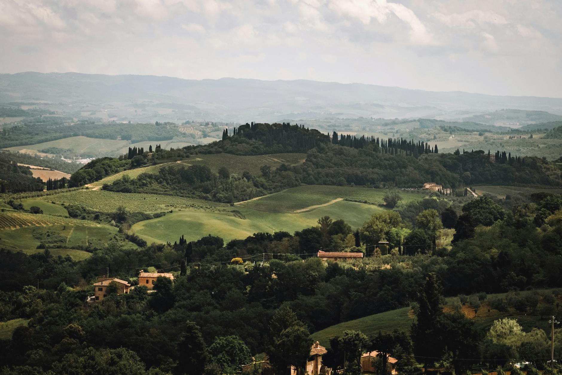 Lush rolling hills and trees in Tuscany, capturing a serene rural landscape.